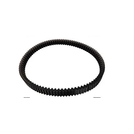 00123443 Cinghia di trasmissione (n6)