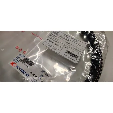 00123443 Cinghia di trasmissione (n6)