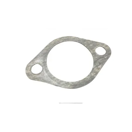 Guarnizioni registro tendicatena, ricambio 00123732