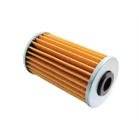 Filtro olio, ricambio 00124759