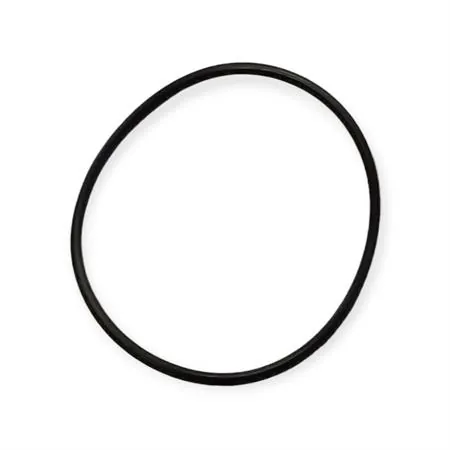 00124955 O-ring
