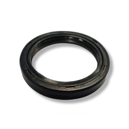 Paraolio 38  x50  x07   2539, ricambio 00125015