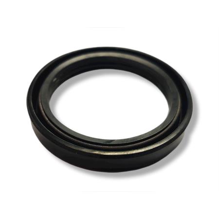 Paraolio 38  x50  x07   2539, ricambio 00125015