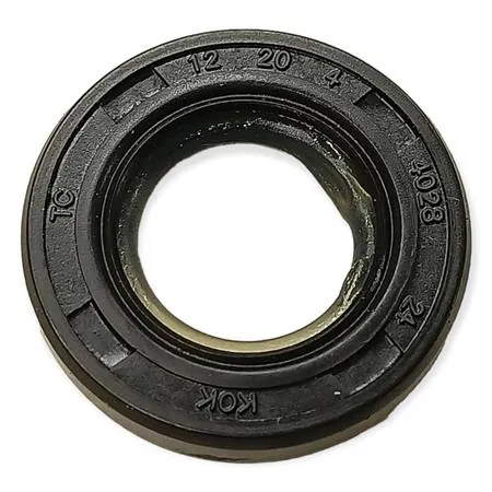 00129984 Paraolio 12x20x4