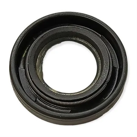 00129984 Paraolio 12x20x4