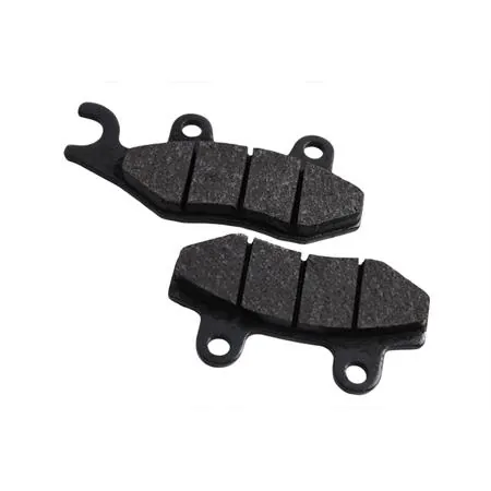 Pastiglie freno anteriori (coppia) (Proma, Action, Moon Ghoose, Kymco, Padana Ricambi), ricambio 00156119