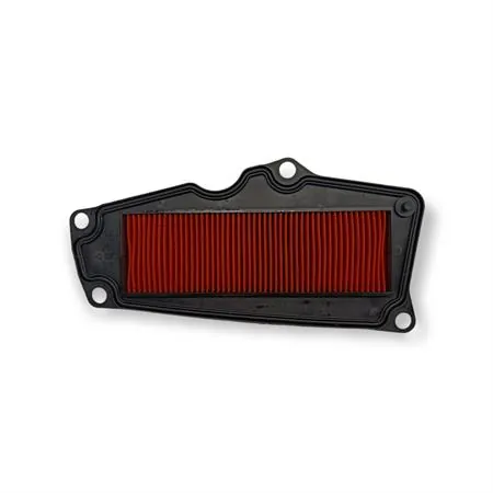 00162953 Filtro aria