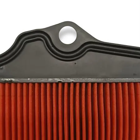 00162953 Filtro aria