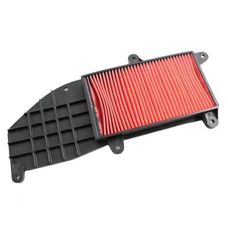 00162981 Filtro aria