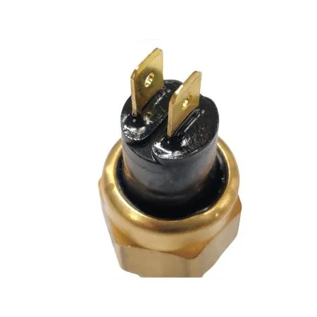 Bulbo termostato radiatore, ricambio 00170950