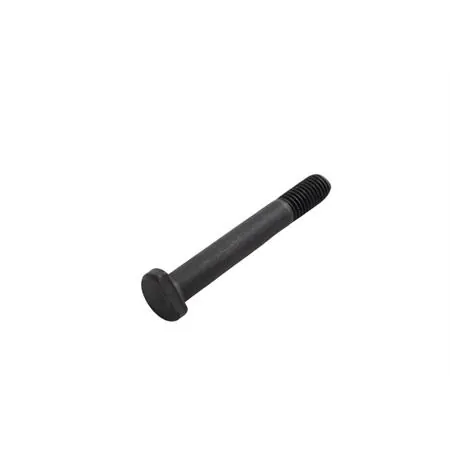 Bullone, ricambio 012485