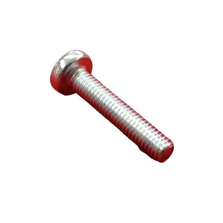 015597 Vite testa cilindrica cacciavite a taglio M5 x 25 (Piaggio Gilera)