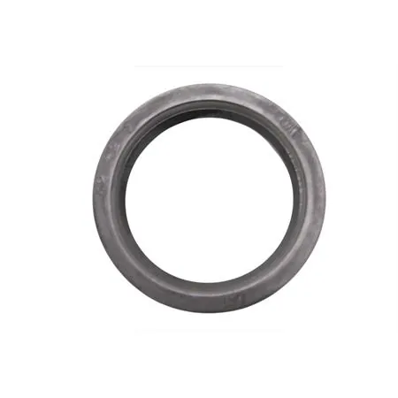 Anello di tenuta, ricambio 021460