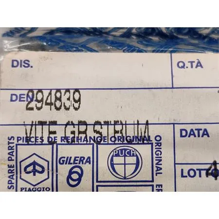 294839 Vite cilindro esagonale incassato (Piaggio Gilera)