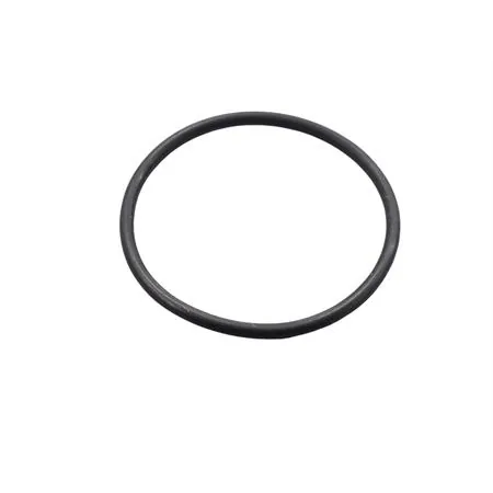 431065 Guarnizione sez.circolare  (Piaggio Gilera)