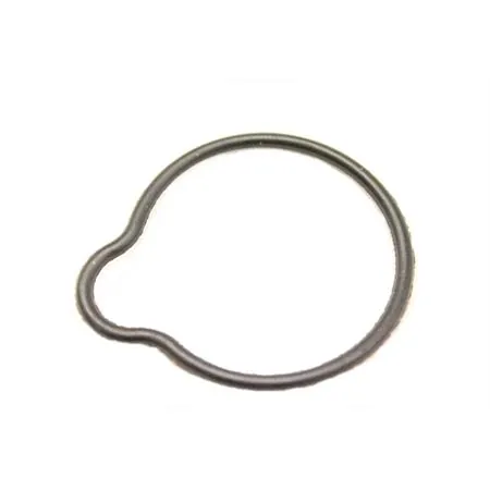Anello di tenuta filtro olio (Piaggio Gilera), ricambio 482186
