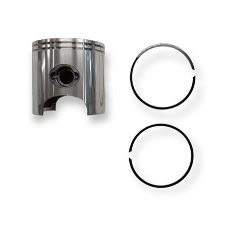 Pistone-spinotto-anelli, ricambio 4876390002