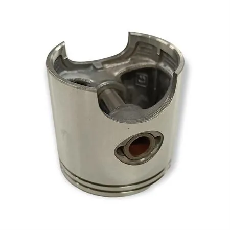 4876390002 Pistone-spinotto-anelli