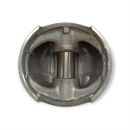 4876390002 Pistone-spinotto-anelli