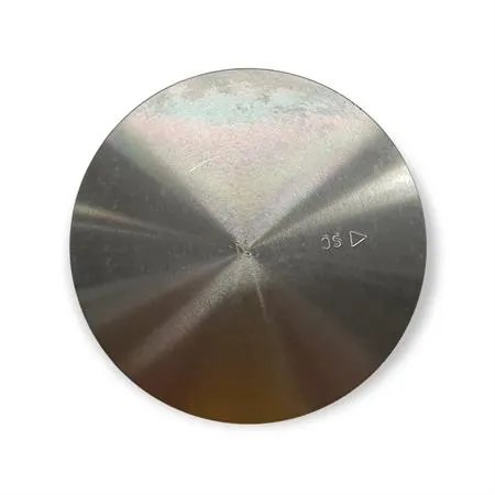 4876390002 Pistone-spinotto-anelli