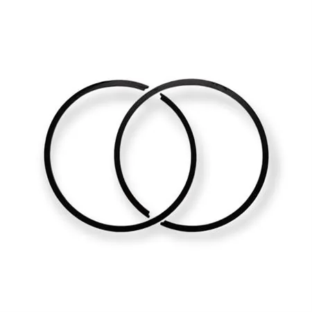 4876390002 Pistone-spinotto-anelli