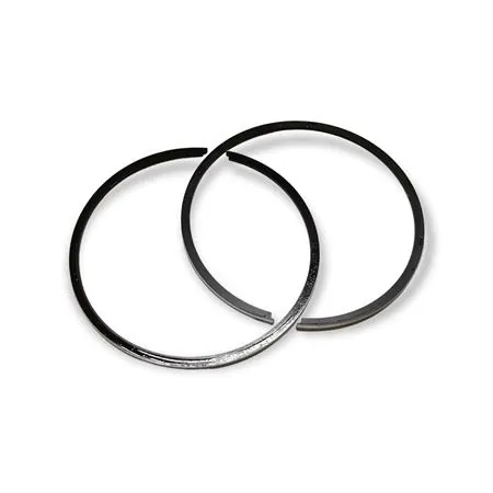 4876390002 Pistone-spinotto-anelli