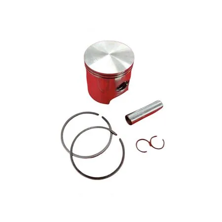 4876390003 Pistone-spinotto-anelli