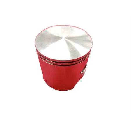 4876390003 Pistone-spinotto-anelli