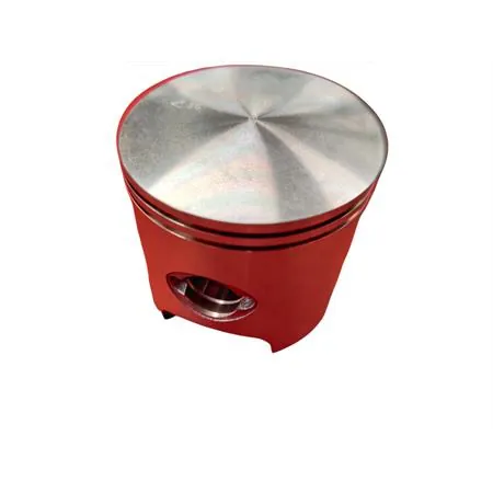 4876390003 Pistone-spinotto-anelli