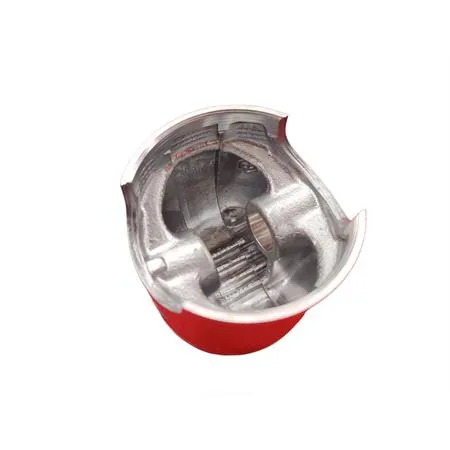 4876390003 Pistone-spinotto-anelli