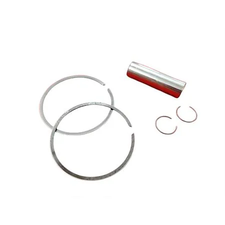 4876390003 Pistone-spinotto-anelli