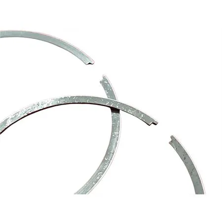 4876390003 Pistone-spinotto-anelli