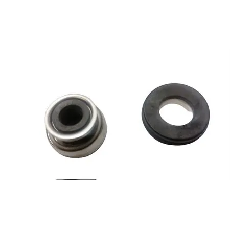 497486 Kit tenuta pompa acqua