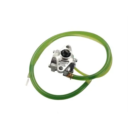82605R Pompa olio completa (Piaggio Gilera)