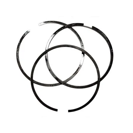 843228 Gr.fasce elastiche