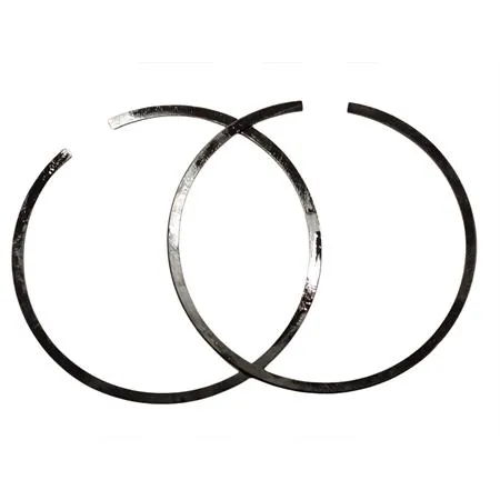 843228 Gr.fasce elastiche
