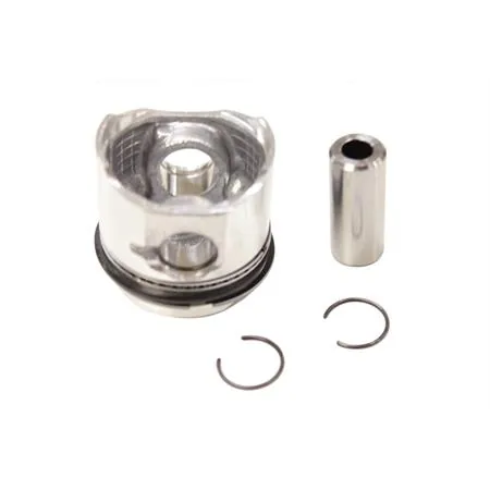 Gruppo pistone spinotto segmenti anelli per ricambi, ricambio 8734660002