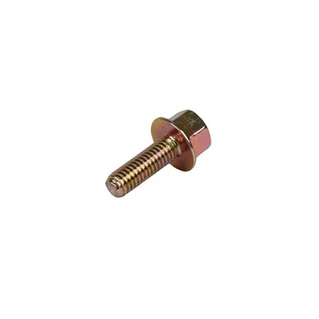 AP8150025 Vite scarico MINARELLI M6