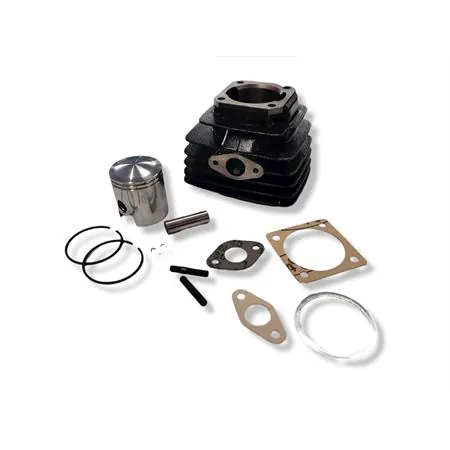 133.0072 Motore gruppo termico Polini per ciclomotori con motore Minarelli v1-issimo diametro 47