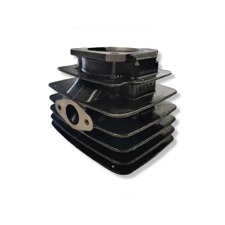 133.0072 Motore gruppo termico Polini per ciclomotori con motore Minarelli v1-issimo diametro 47