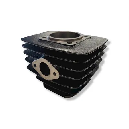 133.0072 Motore gruppo termico Polini per ciclomotori con motore Minarelli v1-issimo diametro 47