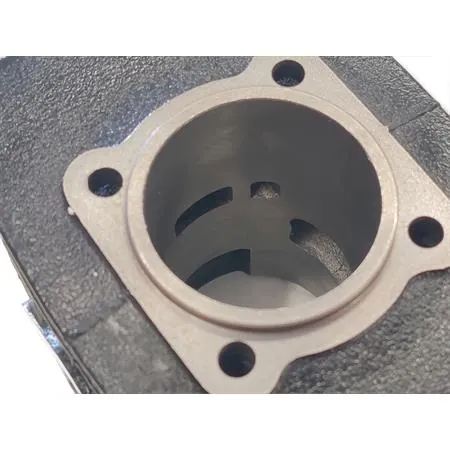 133.0072 Motore gruppo termico Polini per ciclomotori con motore Minarelli v1-issimo diametro 47