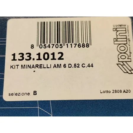 133.1012 Motore gruppo termico Polini Big Evolution diametro 52 mm e corsa 44 mm con cilindrata 93,4 cc per motori Minarelli AM6 e da montare assieme all'albero motore 2100069