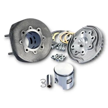 Motore gruppo termico Polini Evolution in ghisa con diametro 58,0 mm e corsa standard 51 mm per Piaggio  Vespa 125 primavera ET3, ricambio 1400050E