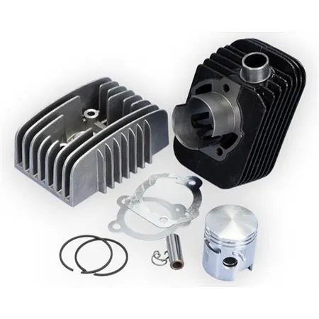 140.0133/10R Motore gruppo termico kit si-cba-eco-Bravo diametro 43 spinotto 10 mm modello raci (Polini)