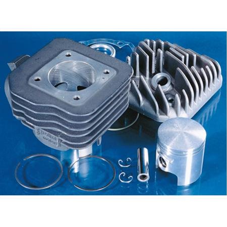 Motore gruppo termico Peugeot base diametro 47 (Polini), ricambio 1420147