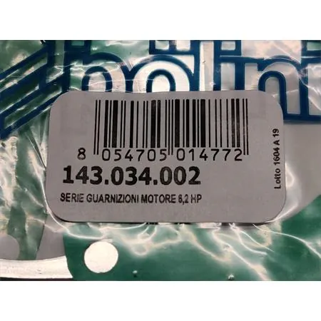 143.034.002 Guarnizioni motore 6.2 hp (Polini)