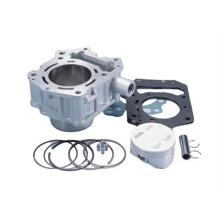 Motore gruppo termico motore Rotax scooter (Polini), ricambio 1460810