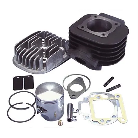 Motore gruppo termico Polini base diametro 47,00mm e spinotto da 10 mm per scooter minarelli verticale Mbk booster spirit