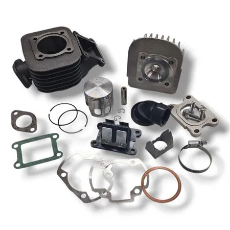 Motore gruppo termico Polini Evolution ghisa 70 cc diametro 47 mm corsa 39,2 bi-fascia spinotto 10 mm per motori Minarelli verticale Mbk Booster Spirit tutte le versioni, ricambio 1660074E